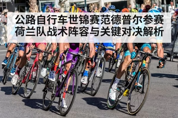 公路自行车世锦赛范德普尔参赛荷兰队战术阵容与关键对决解析