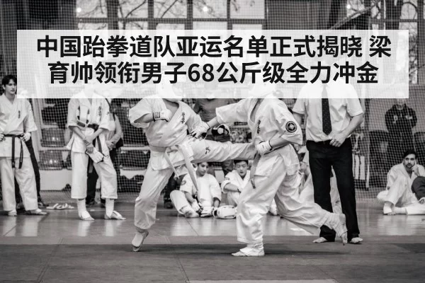 taekwondo competition match